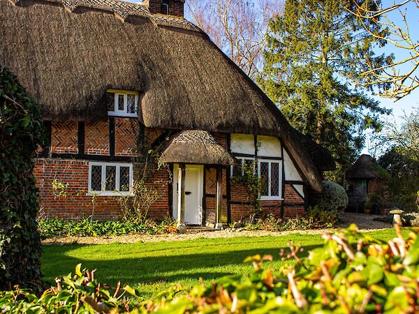 Thatched Cottage