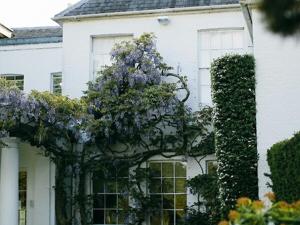 Buy to let houses