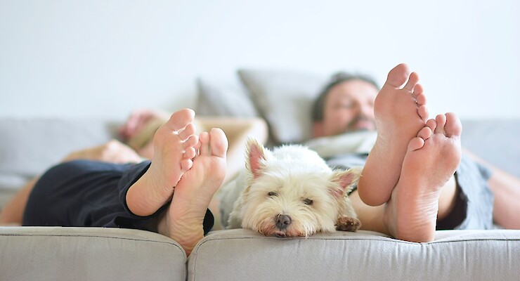 Tenants Insurance