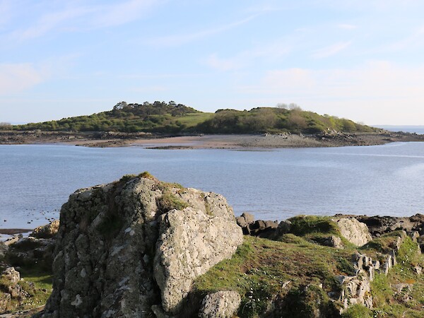 Ardwall Isle by Billy McCrorie