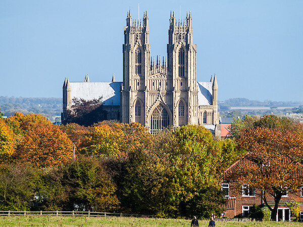 Beverley Minster - Michael D Beckwith, CC0