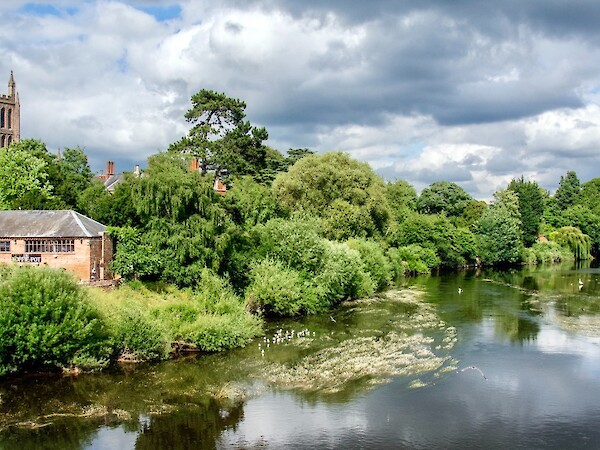 Hereford Cathedral - By Mark Warren