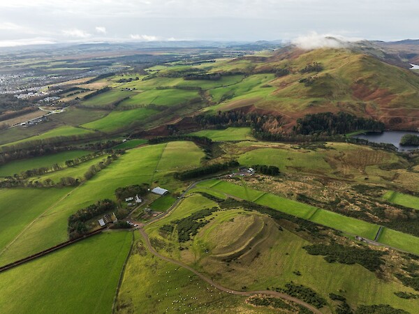 Castle Law