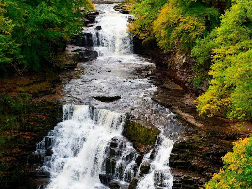 The Falls of Clyde