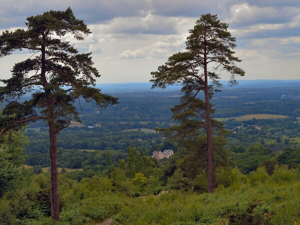 Leith Hill - By AndyScott